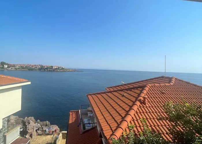 Bella * ソゾポル